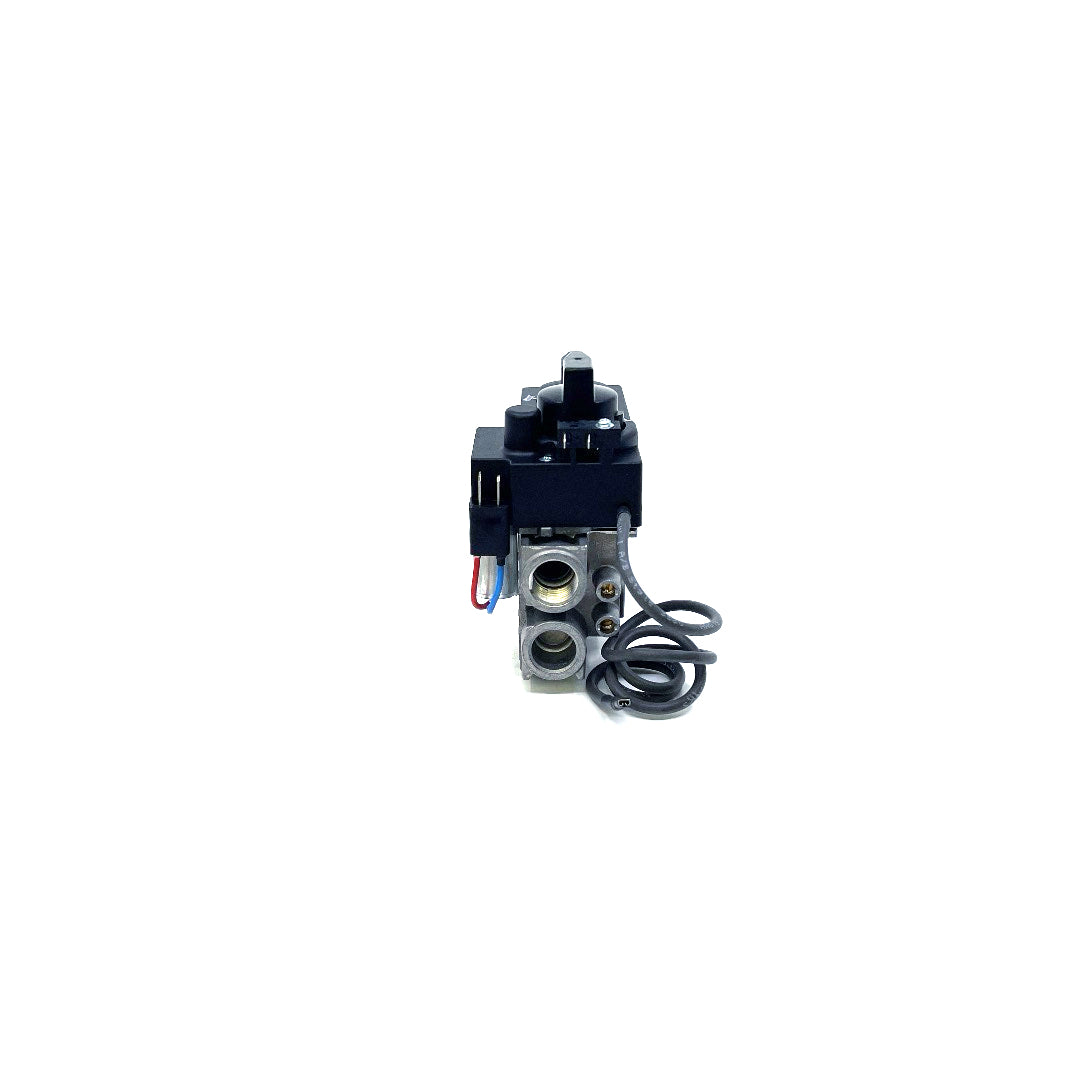 530/534 GV34 Valve Assembly - 4000251 Natural Gas