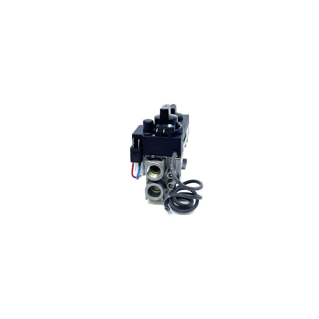 530/534 GV34 Valve Assembly - 4000251 Natural Gas