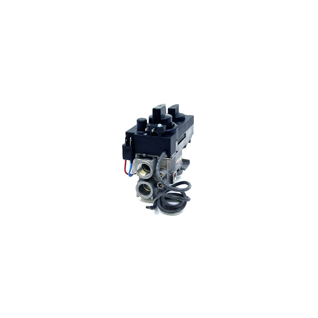 530/534 GV34 Valve Assembly - 4000251 Natural Gas