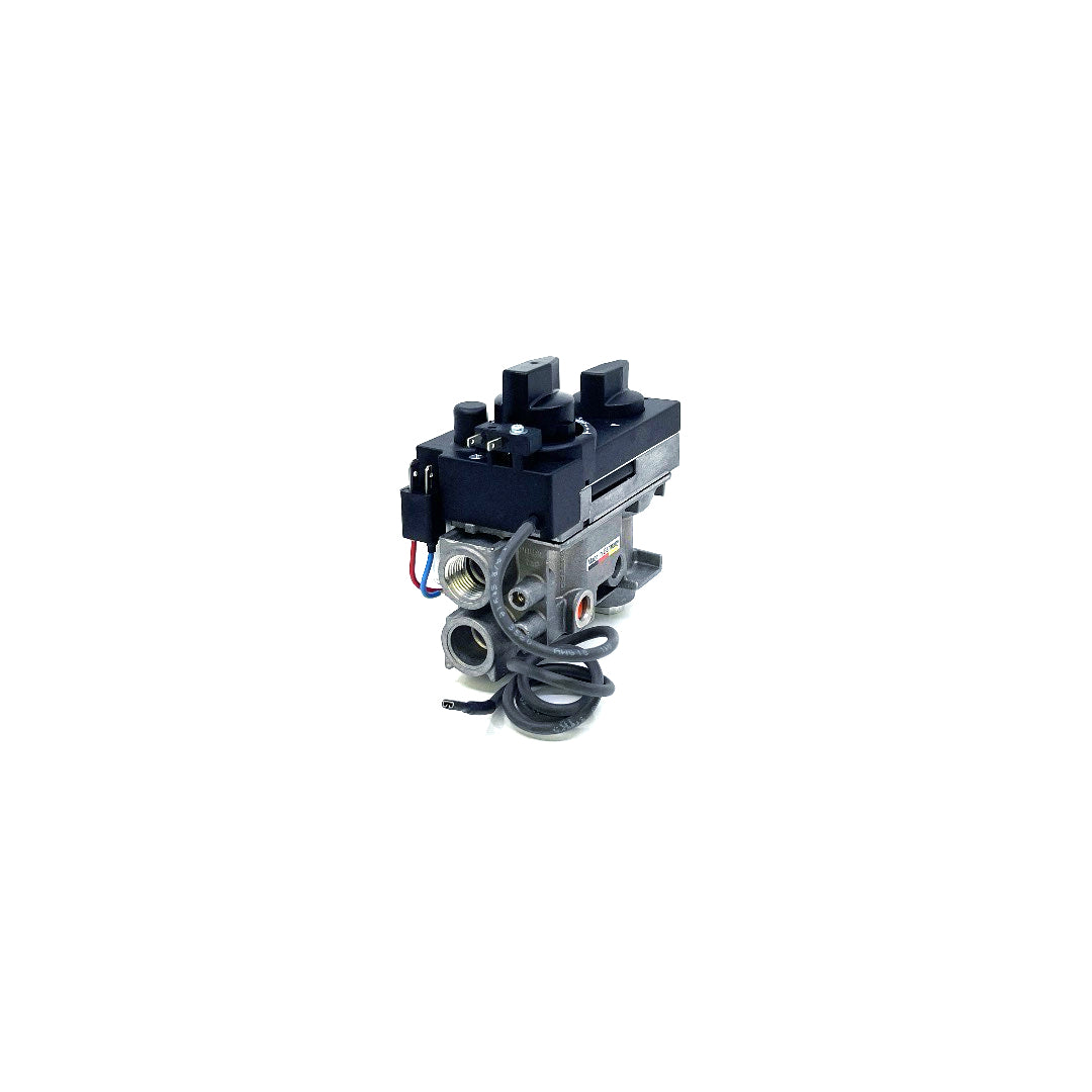 530/534 GV34 Valve Assembly - 4000251 Natural Gas