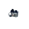 530/534 GV34 Valve Assembly - 4000251 Natural Gas