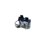 530/534 GV34 Valve Assembly - 4000251 Natural Gas