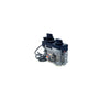 530/534 GV34 Valve Assembly - 4000251 Natural Gas