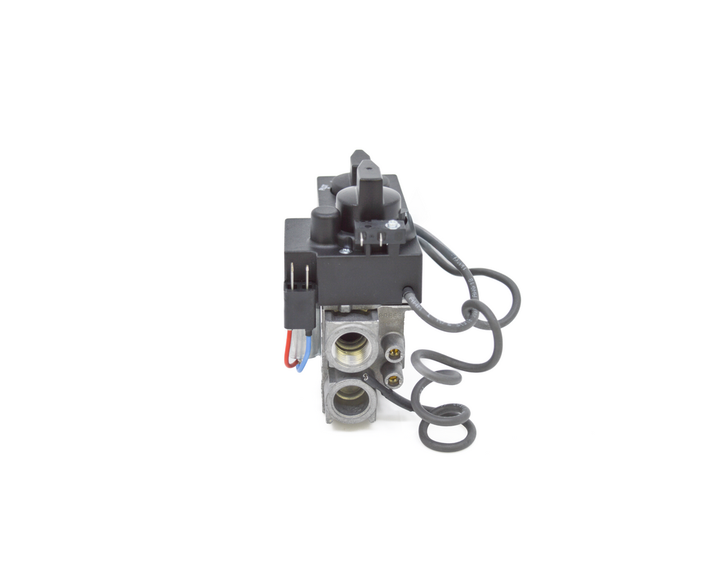 530/534 GV34 Valve Assembly - 4000251 Natural Gas