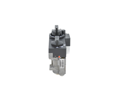 530/534 GV34 Valve Assembly - 4000251 Natural Gas