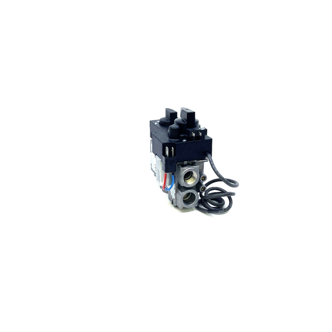 530/534 GV34 Valve Assembly - 4000251 Natural Gas