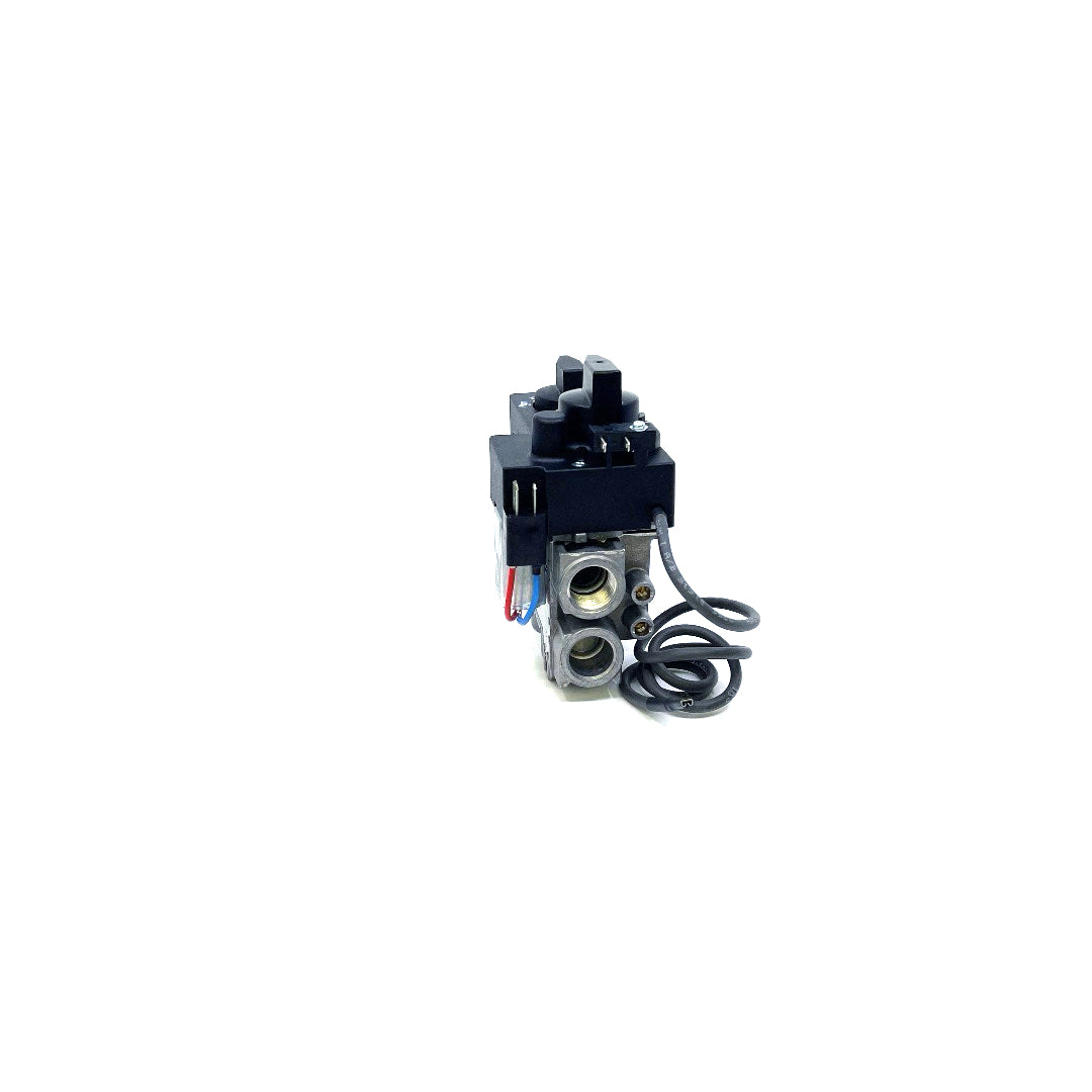 530/534 GV34 Valve Assembly - 4000251 Natural Gas