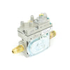 SV-45 Control Valve (Natural Gas)