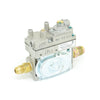 SV-45 Control Valve (Natural Gas)