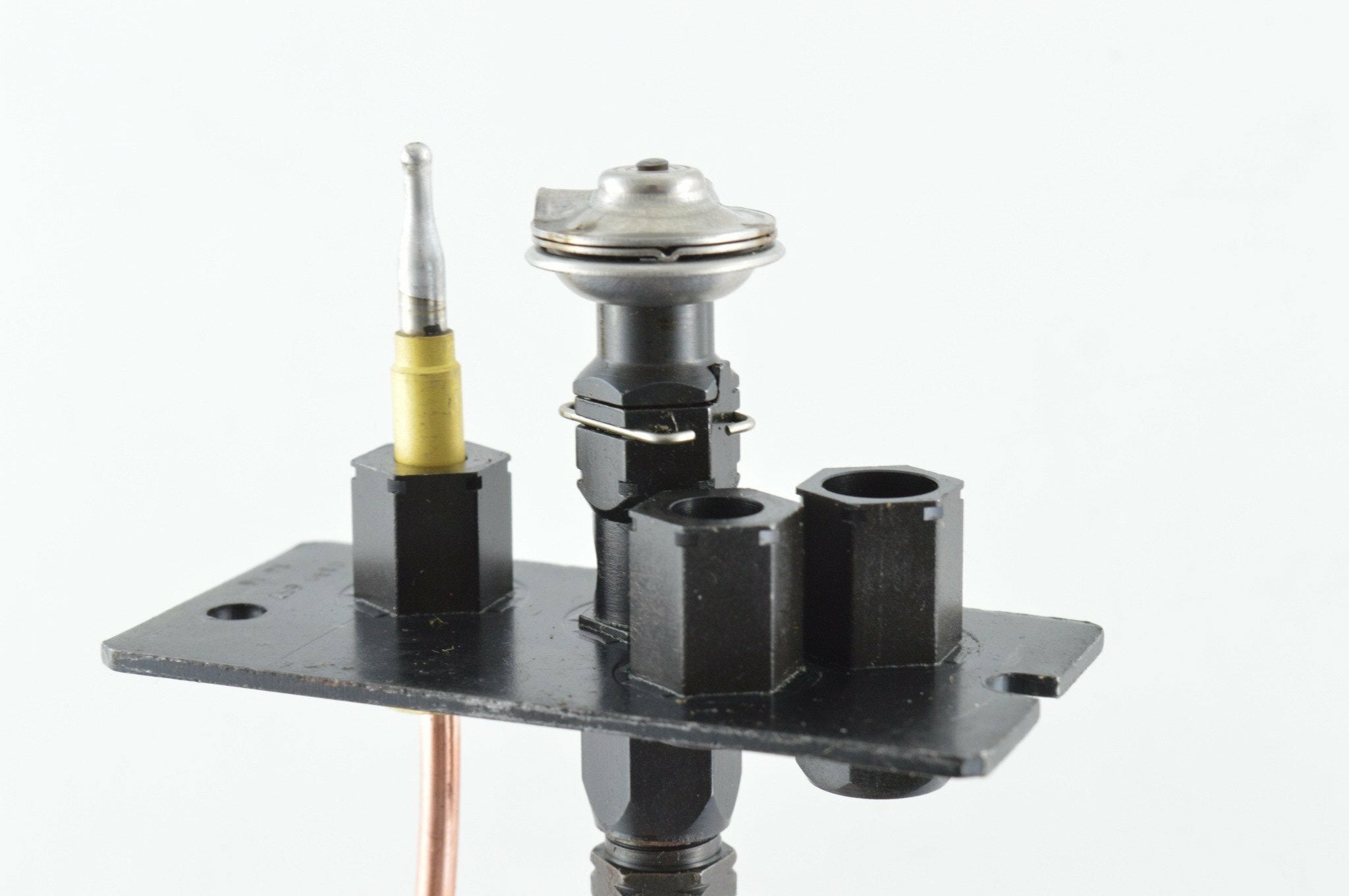 FP0134.02.jpg?v=1729550707&