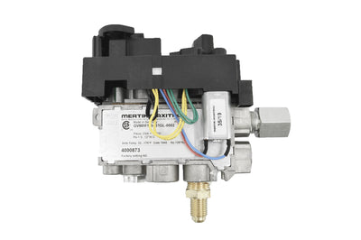 739 GV60 Valve Assembly - NG 4003097S