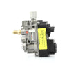 739 GV60 Valve Assembly - NG 4003097S