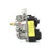 739 GV60 Valve Assembly - NG 4003097S
