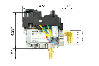 1500N GV60 Valve Assembly- NG 4003106S