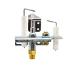 W662-0008-SER ODS Pilot Assembly Vent Free Natural Gas