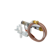 ODS Pilot Assembly Propane Vent Free