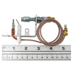 ODS Pilot Assembly Natural Gas Vent Free