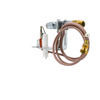 ODS Pilot Assembly Natural Gas Vent Free