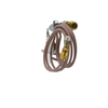 ODS Pilot Assembly Natural Gas Vent Free