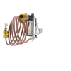 ODS Pilot Assembly Natural Gas Vent Free