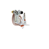 ODS Pilot Assembly Natural Gas Vent Free