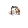 ODS Pilot Assembly Natural Gas Vent Free