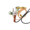 ODS-0002 ODS Pilot Assembly,Vent Free, Propane