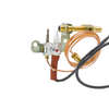 ODS-0002 ODS Pilot Assembly,Vent Free, Propane