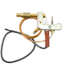 ODS-0002 ODS Pilot Assembly,Vent Free, Propane