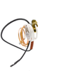 ODS-0003 ODS Pilot Assembly, Vent Free, Natural Gas