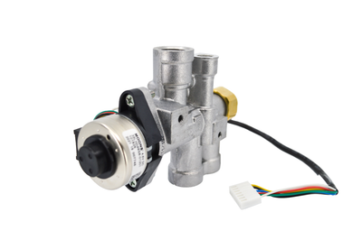 Ecoflow Valve Assembly Natural Gas