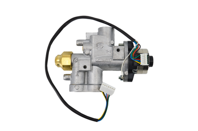 Ecoflow Valve Assembly Natural Gas
