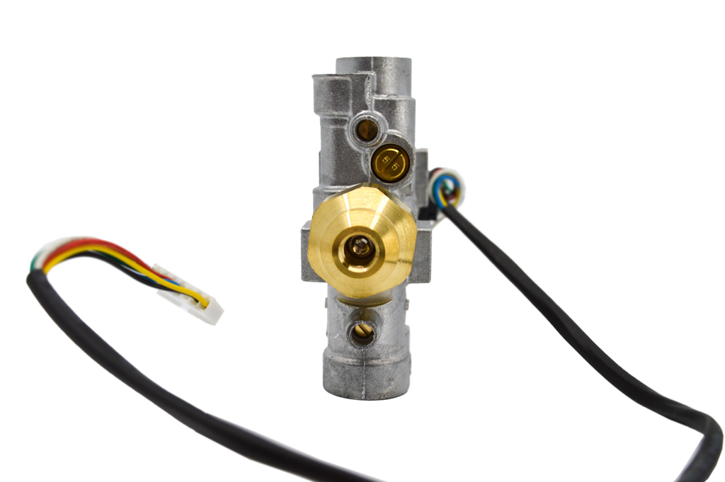 Ecoflow Valve Assembly Natural Gas
